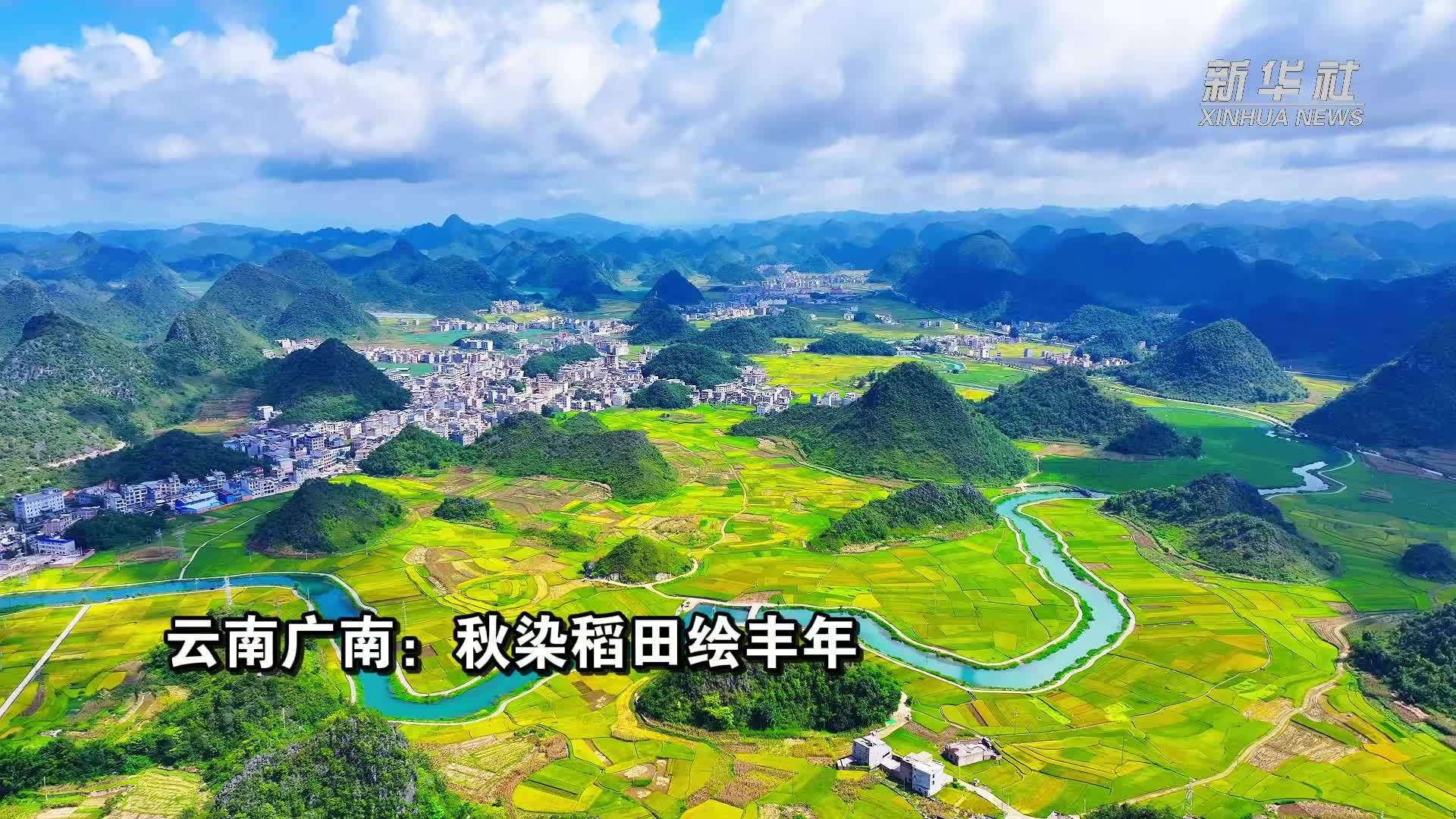 云南广南：秋染稻田绘丰年