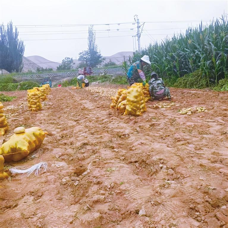 甘味兰州:千年甘味 国字认证金榜题名