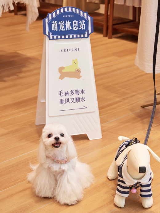 SEIFINI诗凡黎官宣孟子义担任品牌形象代言人 ——携手开启宠爱陪伴新篇章