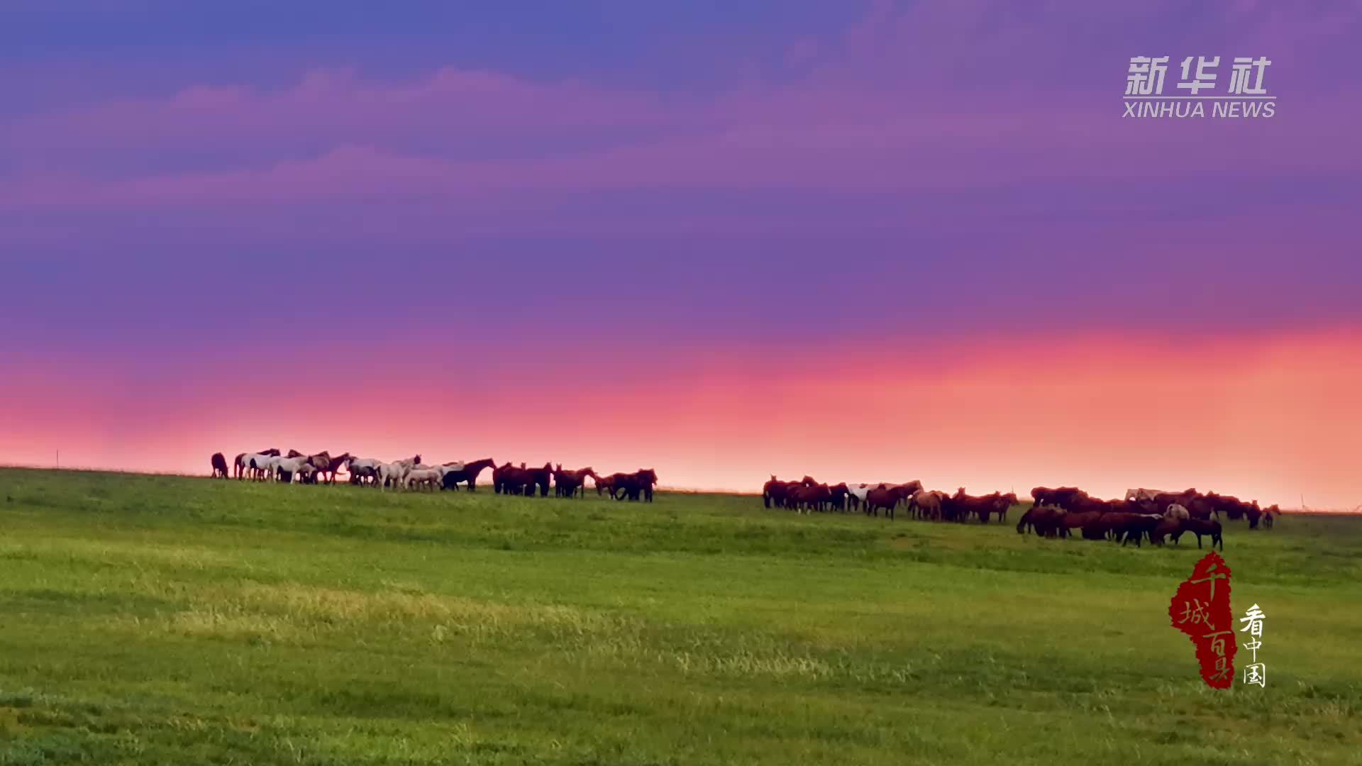 千城百县看中国｜内蒙古：牧马人写下草原黄昏的诗