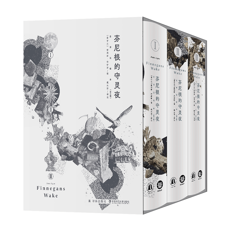 《芬尼根的守灵夜》中文注释本：一场阅读游戏，打破语言边界