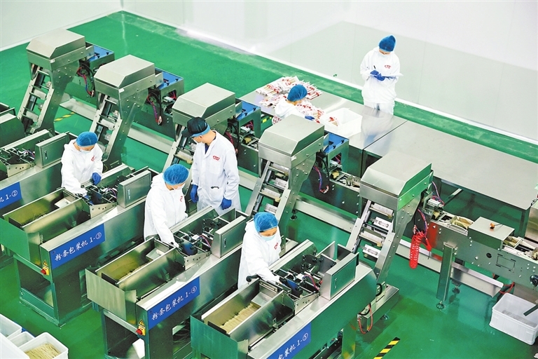 河南軒康農業科技有限公司員工正在生產紅薯粉條。喬利峰 攝