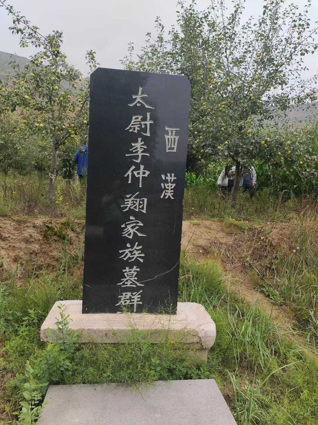 陇西狄道李氏始祖李仲翔家族墓