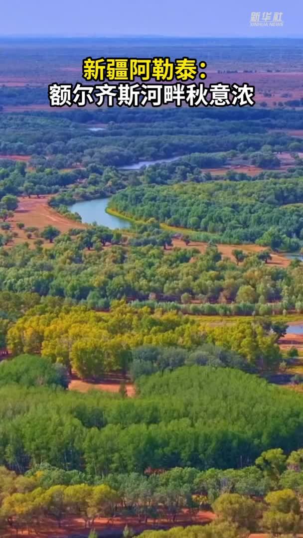 新疆阿勒泰：额尔齐斯河畔秋意浓