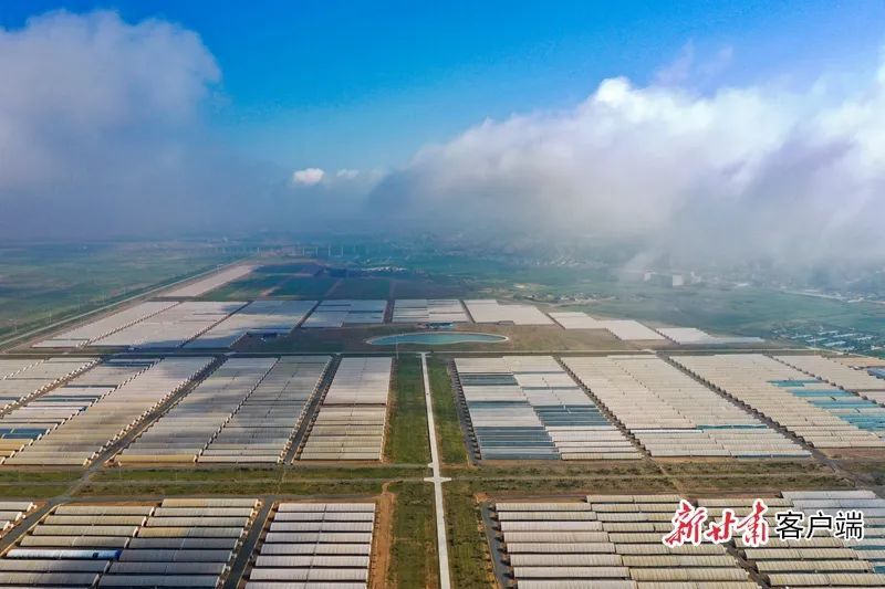 位于兰州新区现代农业公园内的现代化日光温室大棚