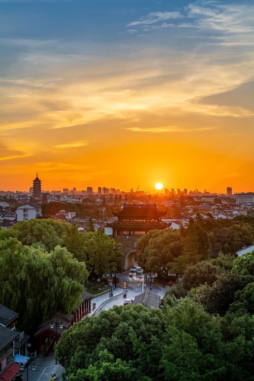 苏州市委宣传部供图