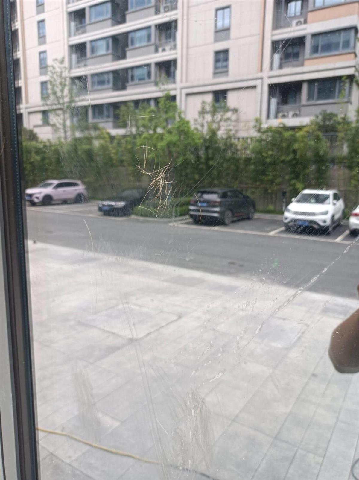 梅花鹿闯入合肥一商业中心撞上玻璃门,工人:有点被撞晕凤凰网安徽_凤凰网