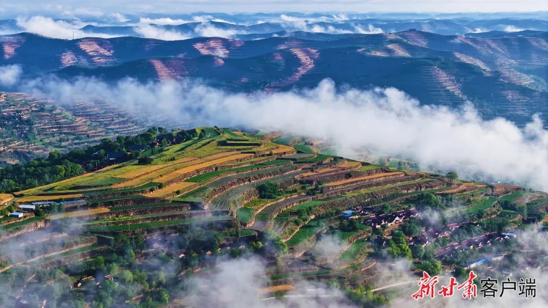 降雨过后,庄浪县的百万亩梯田云雾缭绕。