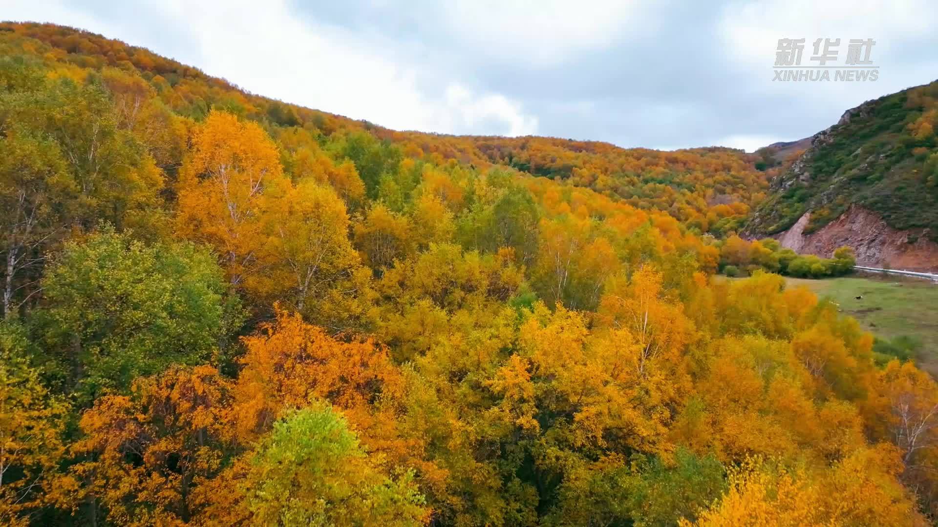 瞰中国｜走进克什克腾 邂逅秋日童话