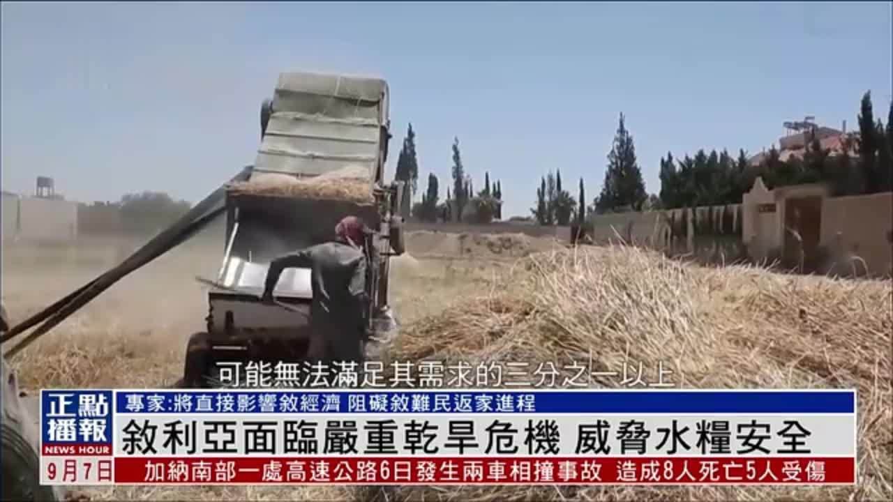 叙利亚面临严重干旱危机 威胁水粮安全