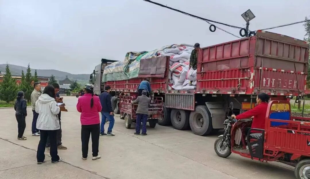 秋日“营养礼包”入户 甘肃华亭“犇”向致富路