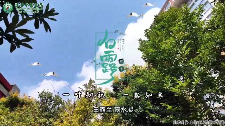 白露至！收好这份白露节气养生指南，安稳度秋