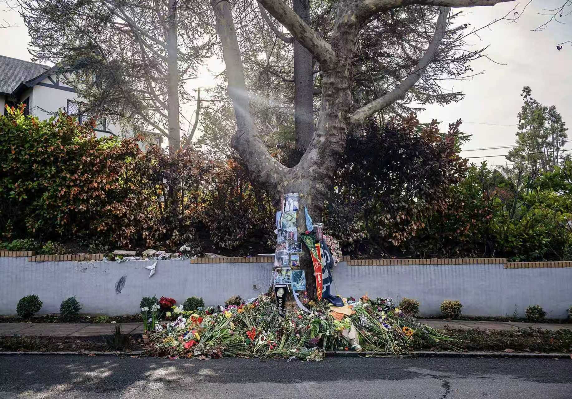 三名大学生因Cybertruck车祸身亡