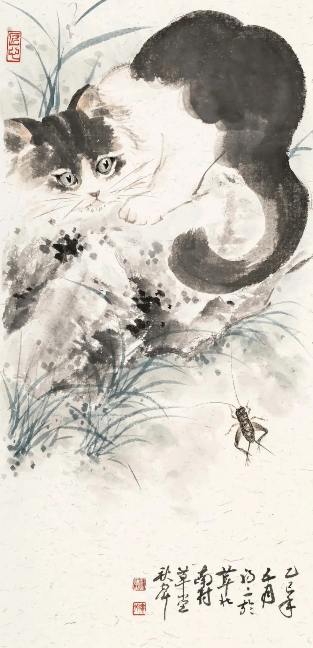 《猫》