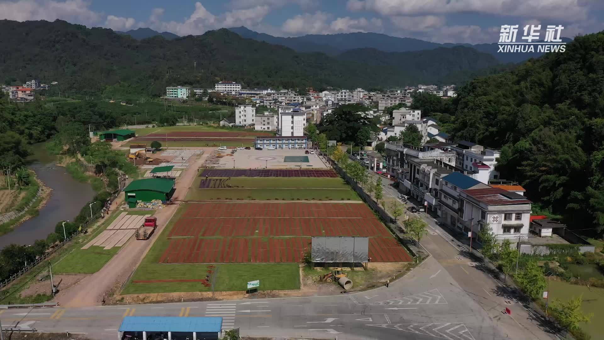 广西蒙山：天晴晾晒香云纱