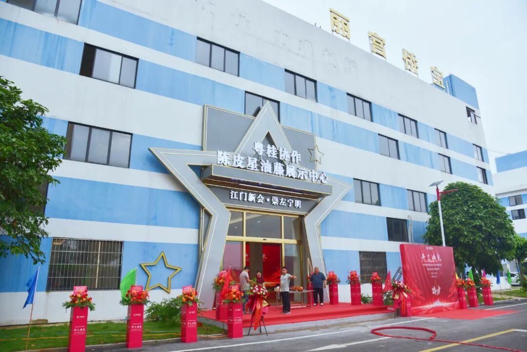 江门-崇左大健康产业园