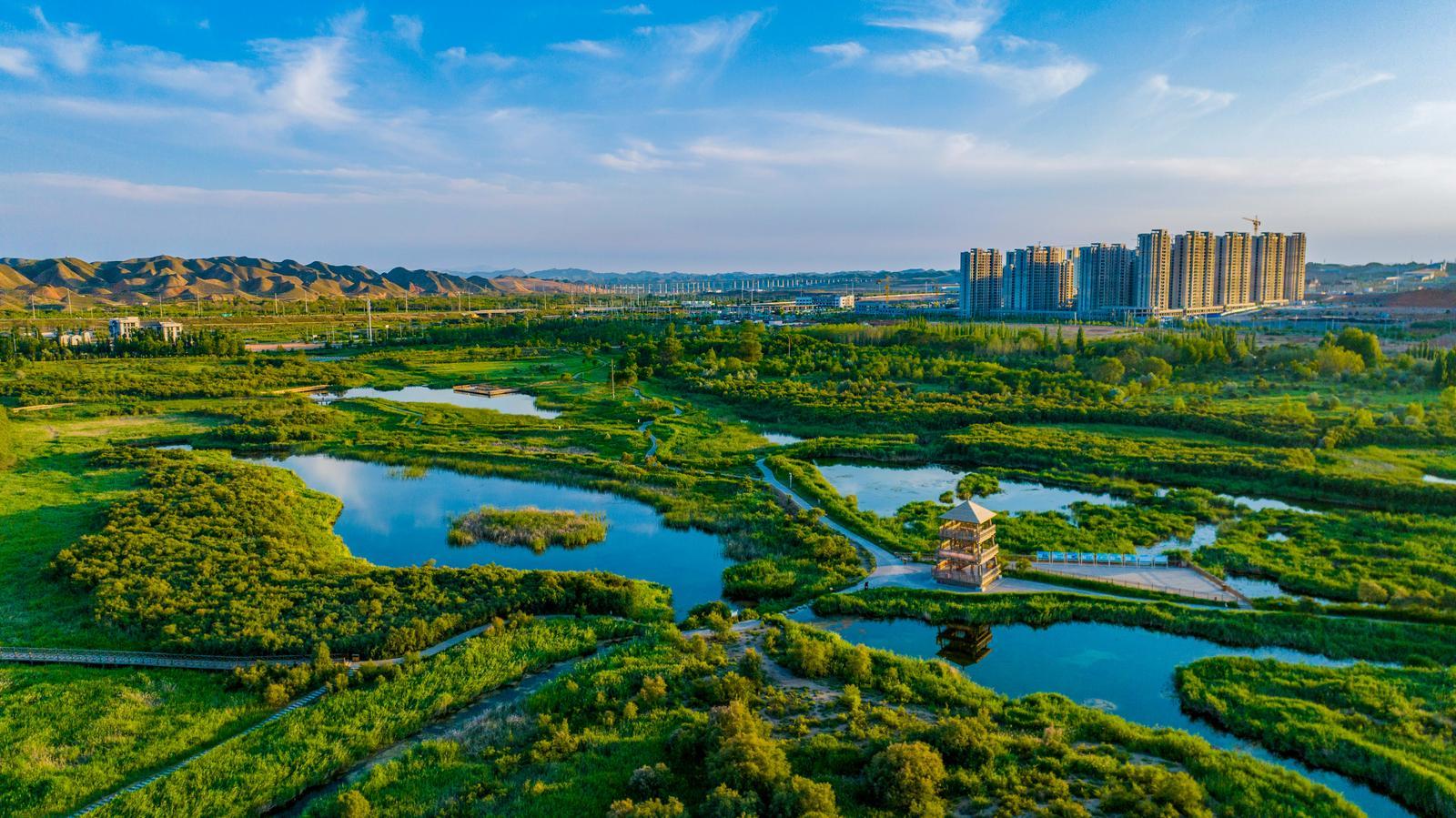 ▲秦王川国家湿地公园