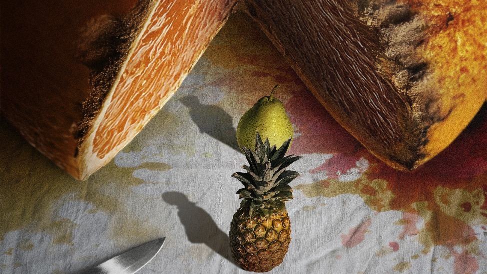 悬疑片《家庭简史》今日上映 大银幕犀利审视关于“家”的真相封面图