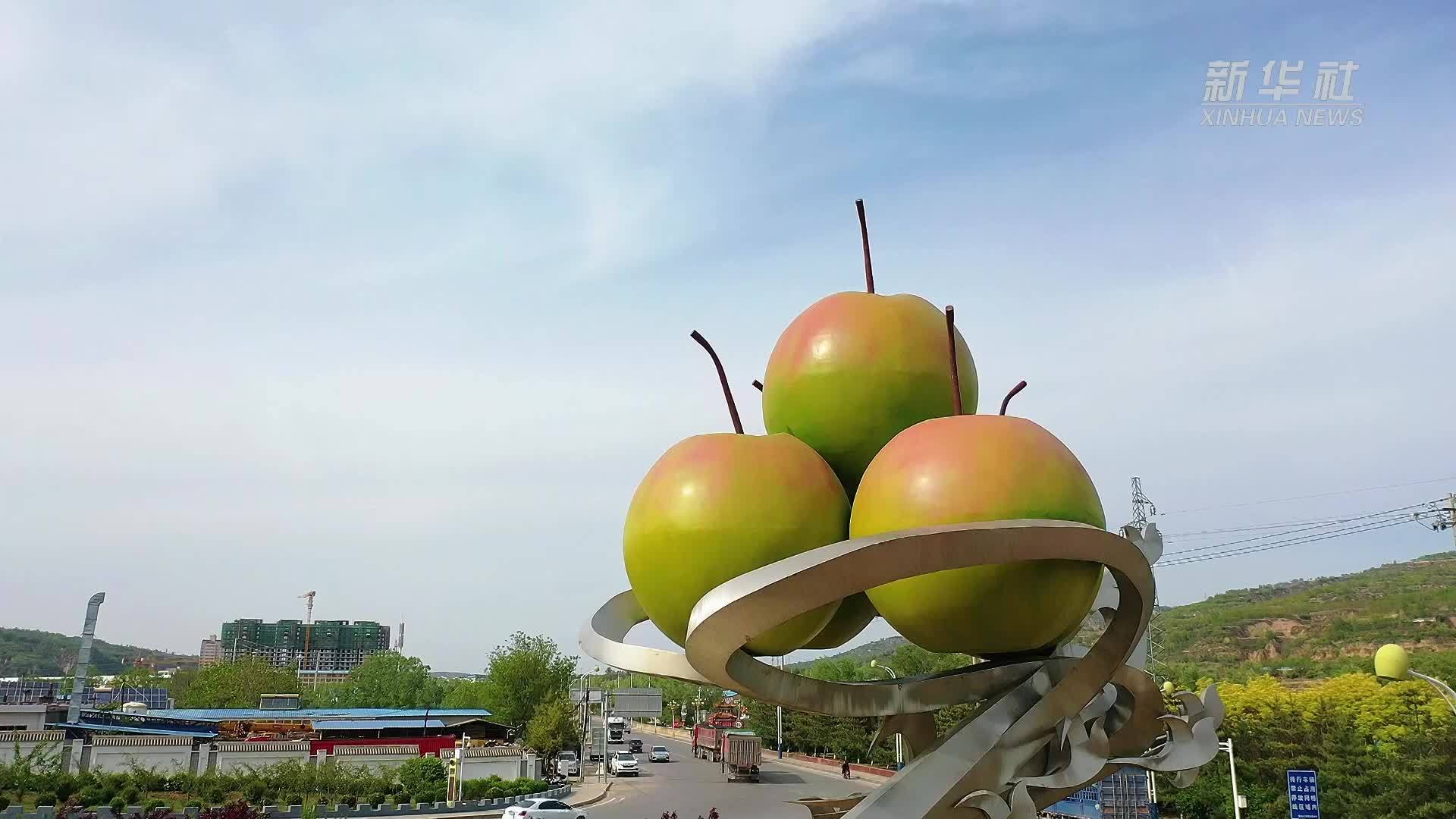 山西隰县：玉露香梨迎丰收