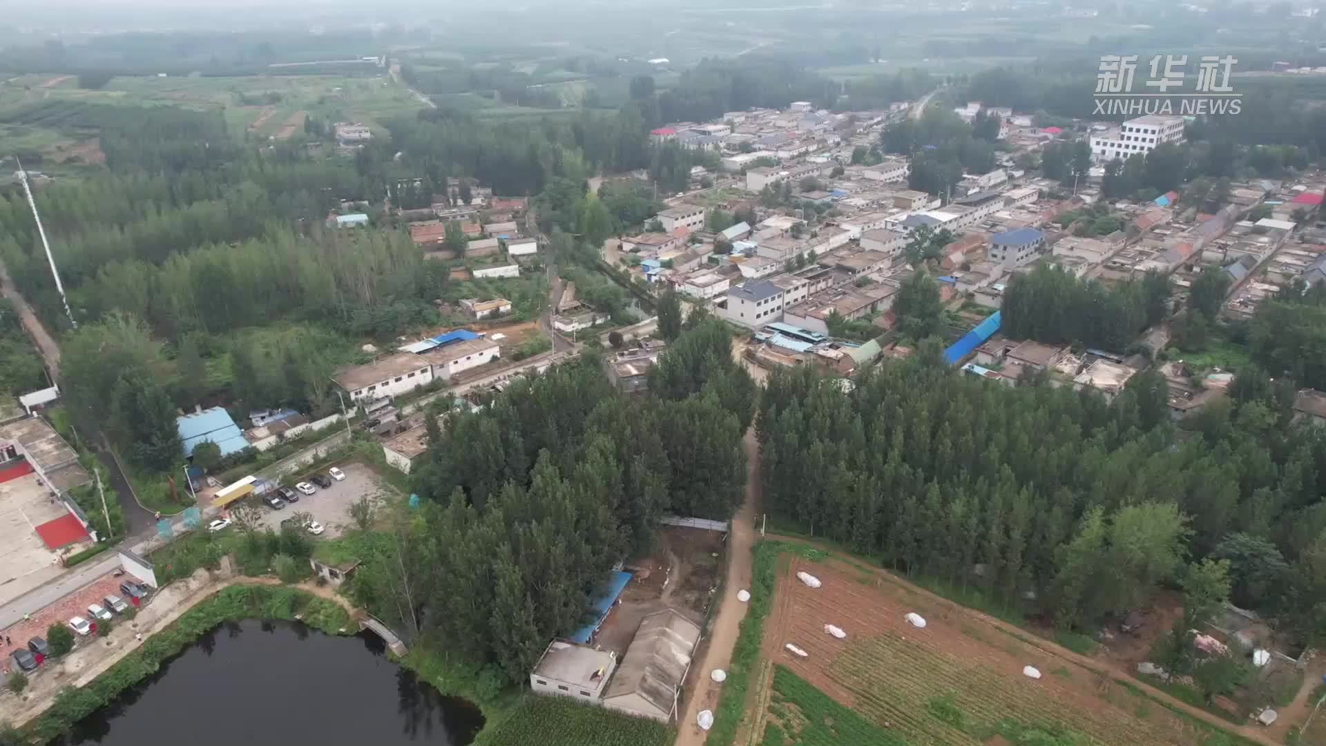山东沂南：艺术为笔 绘就乡村文旅新图景