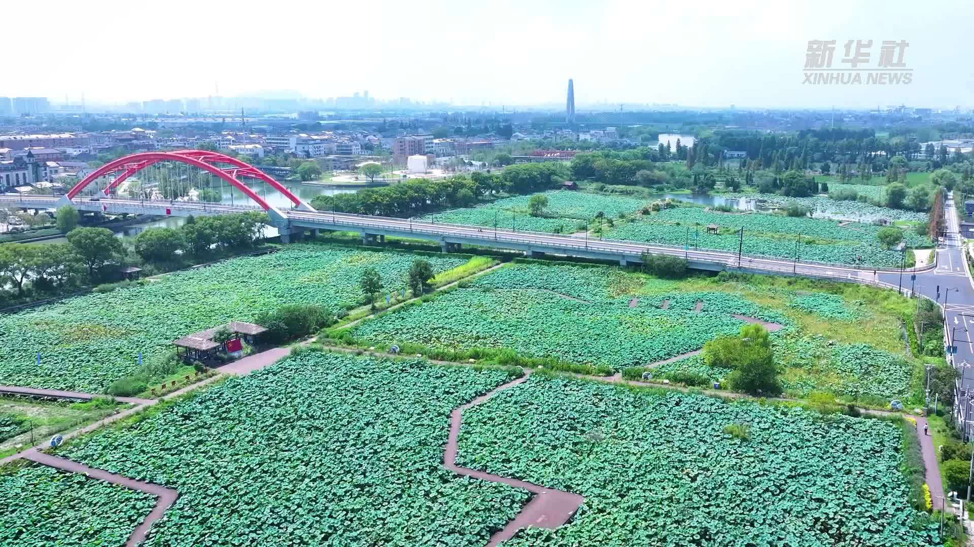 从“环境负债”到“生态盈余”一个村庄的绿色转型之路