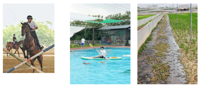大同湖主宠产业示范基地由酷贝e族宠物文化产业基地、骏逸马术俱乐部、大旗头稻蛙共生项目等组成