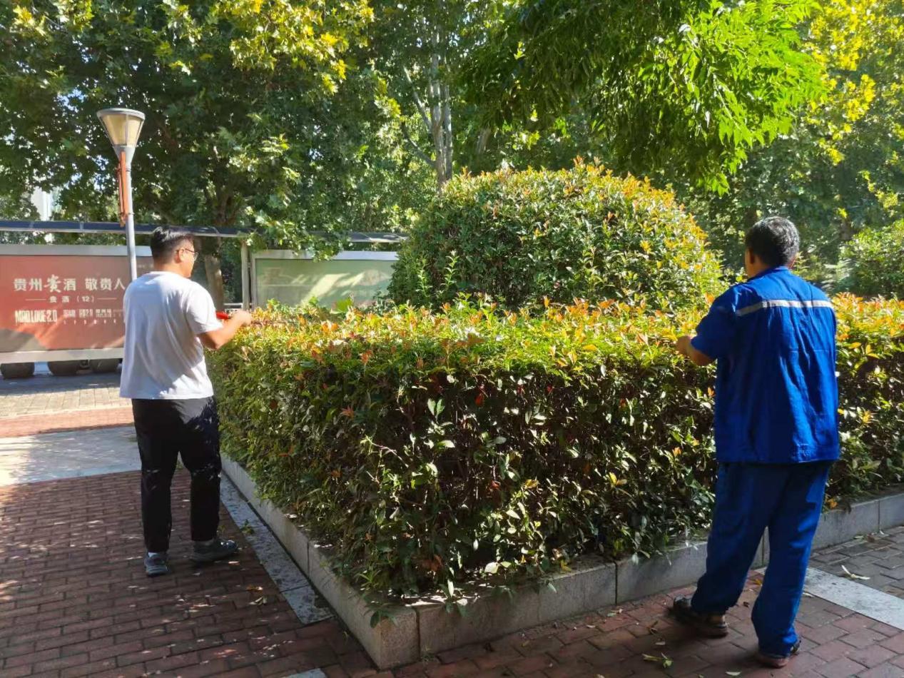 大清掃包括周邊環境治理