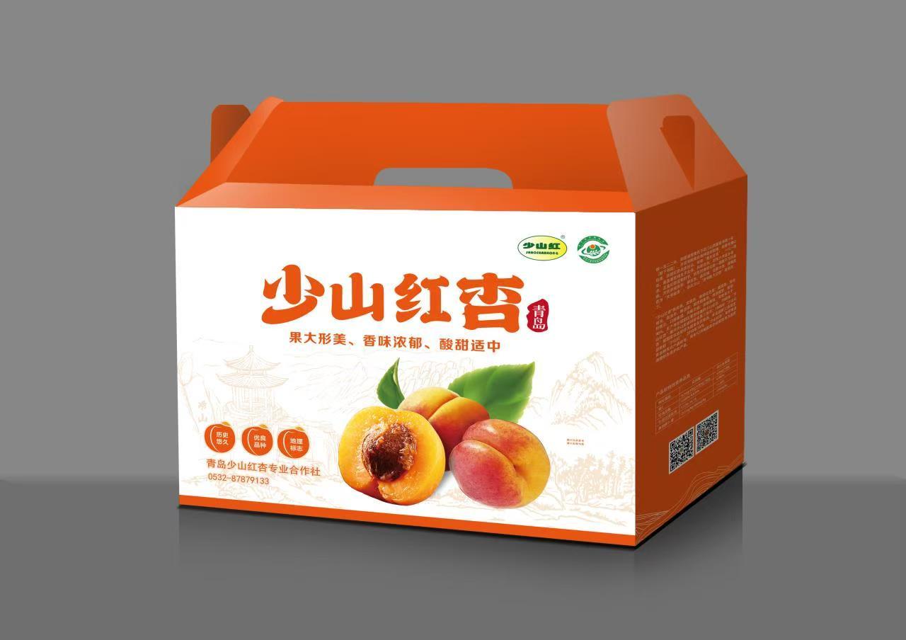 青岛乡里乡亲|百年少山红杏走出“杏福路”!栾心波:匠心守文脉助力乡村振兴