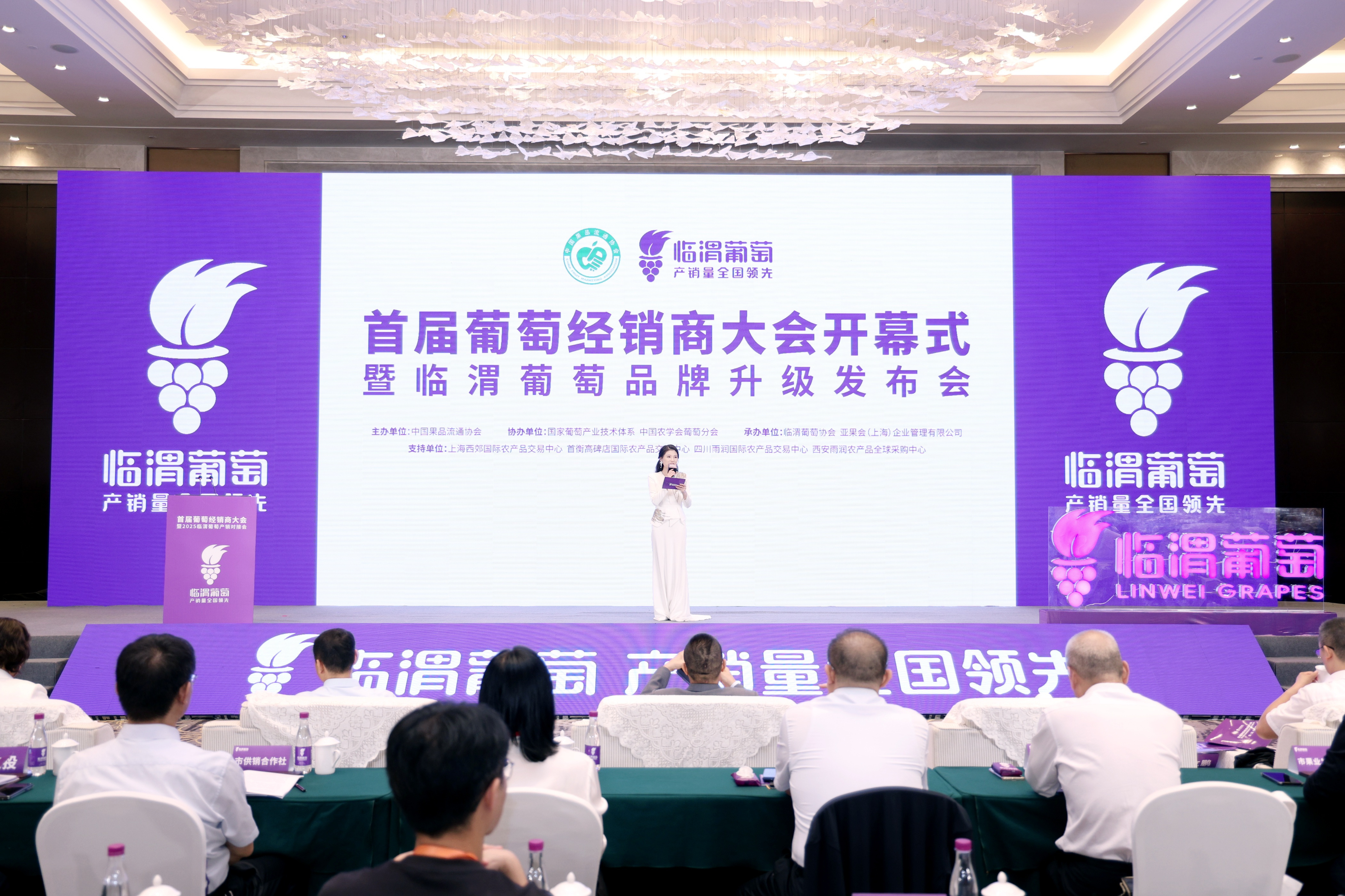 葡萄盛會 產業共贏|首屆葡萄經銷商大會暨2025臨渭葡萄產銷對接會舉辦