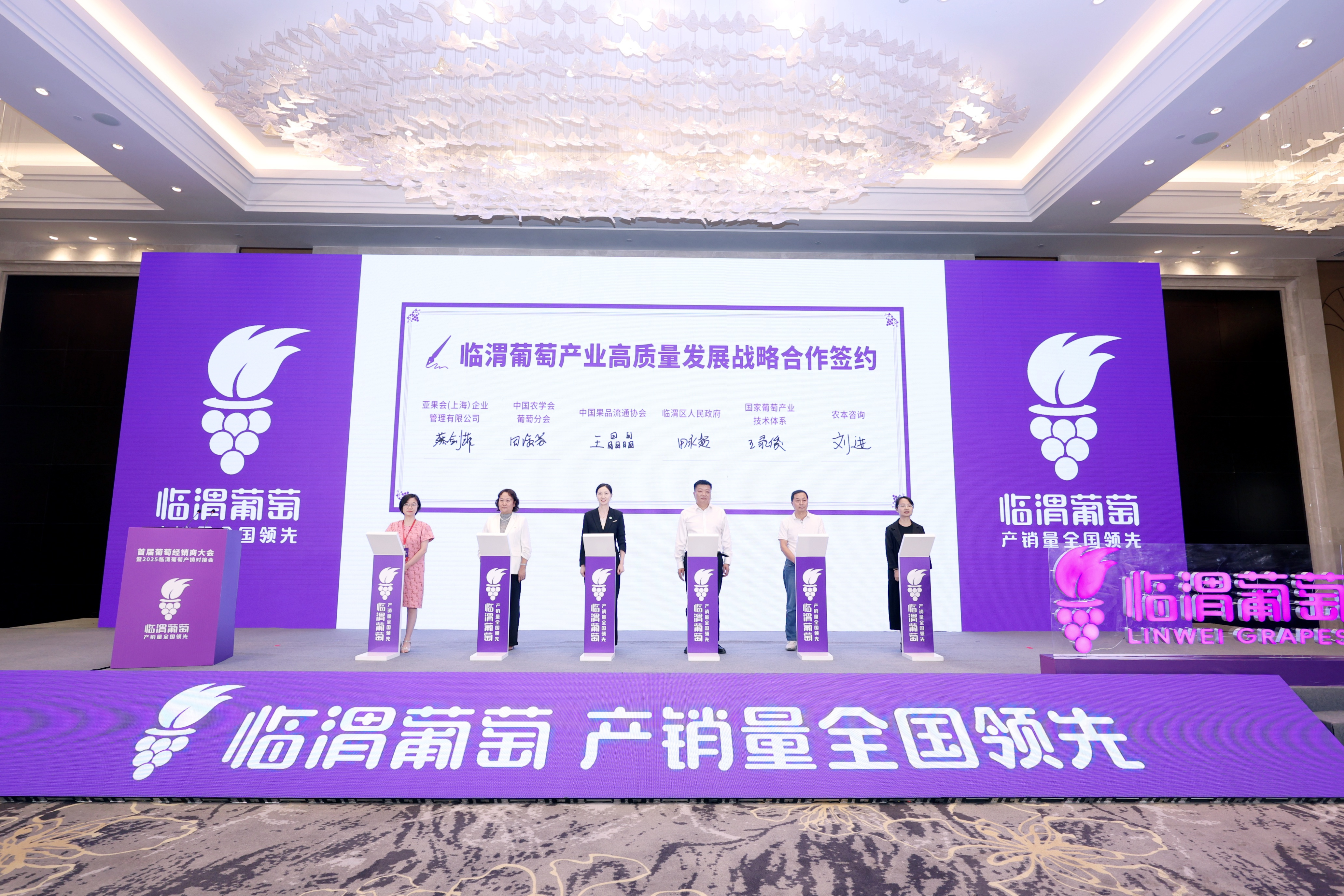 葡萄盛會 產業共贏|首屆葡萄經銷商大會暨2025臨渭葡萄產銷對接會舉辦