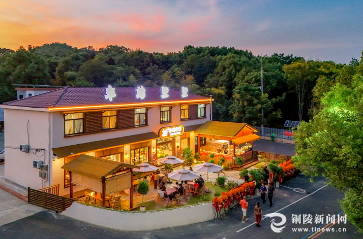 铜陵市铜官区：都市白领变身乡村创客