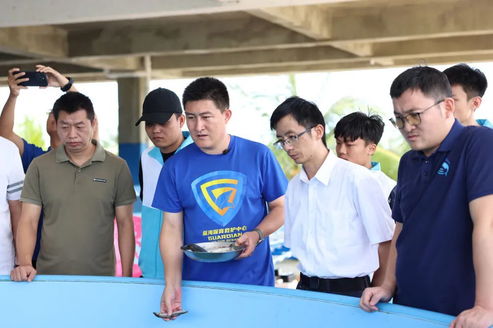 9月8日，专家组在海南陵水的救助池前评估海豚“万万”的情况。 新华社记者 张丽芸 摄