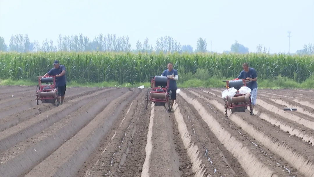 青岛乡里乡亲|匡兆强:科技赋能 “胶白”焕发新活力
