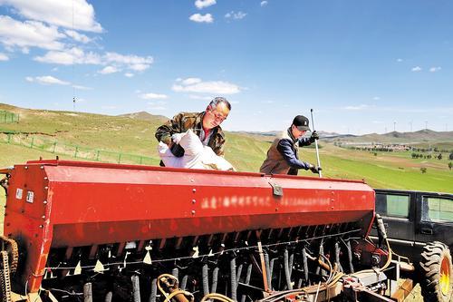 8月11日，村民在位于丰宁满族自治县鱼儿山镇的草场播撒草种。 肖连昌摄