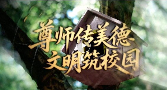 点击图片打开视频