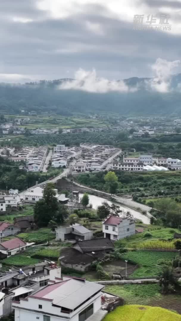 看“丰”景 秋粮抢收进行时