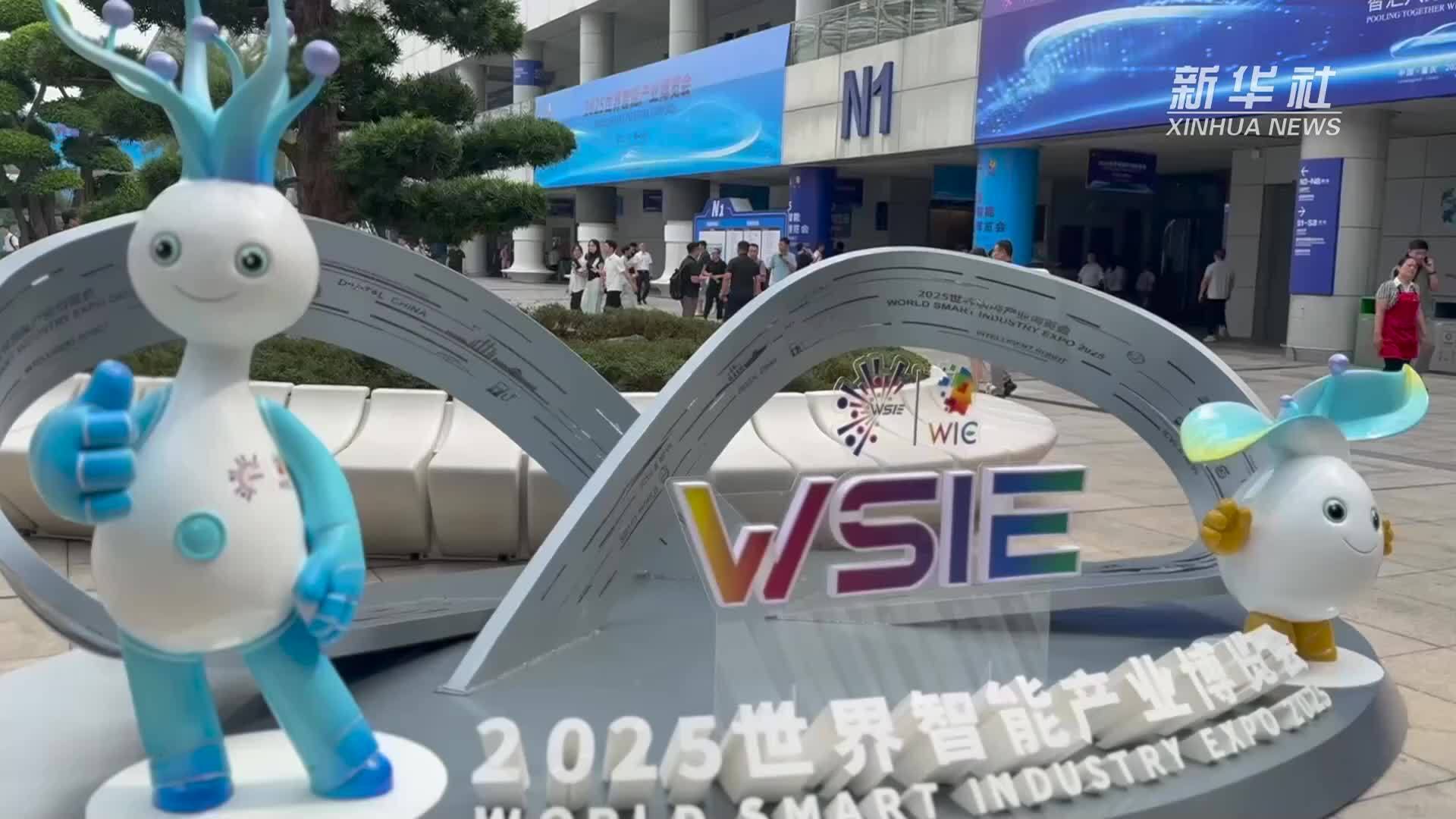 智能机器人大显身手 智博会上看“智造”