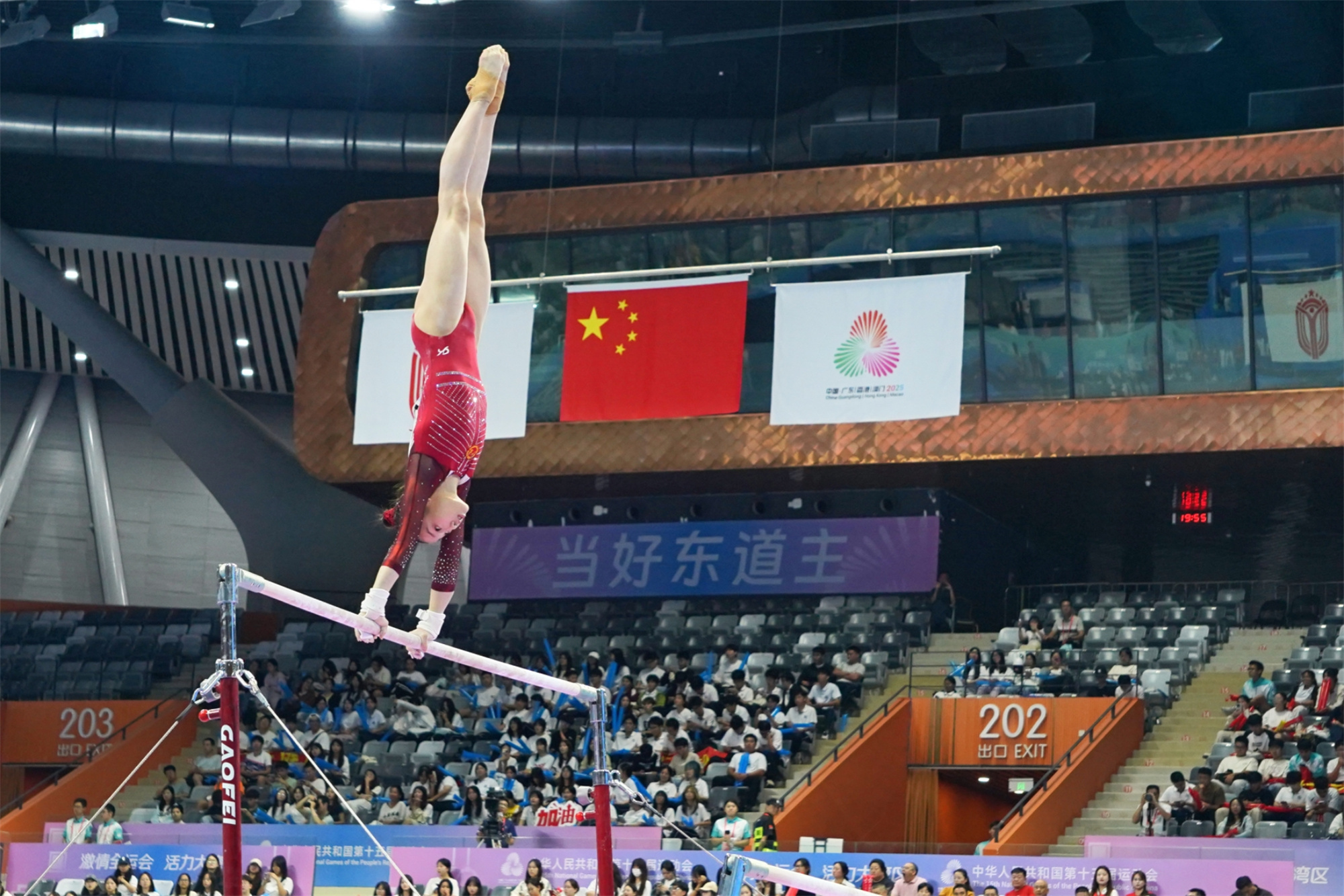 东莞首位金牌运动员！小将柯沁沁全运会体操女团折桂