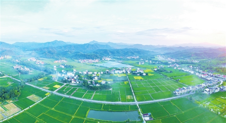 信丰县：秀美乡村如画卷（图）