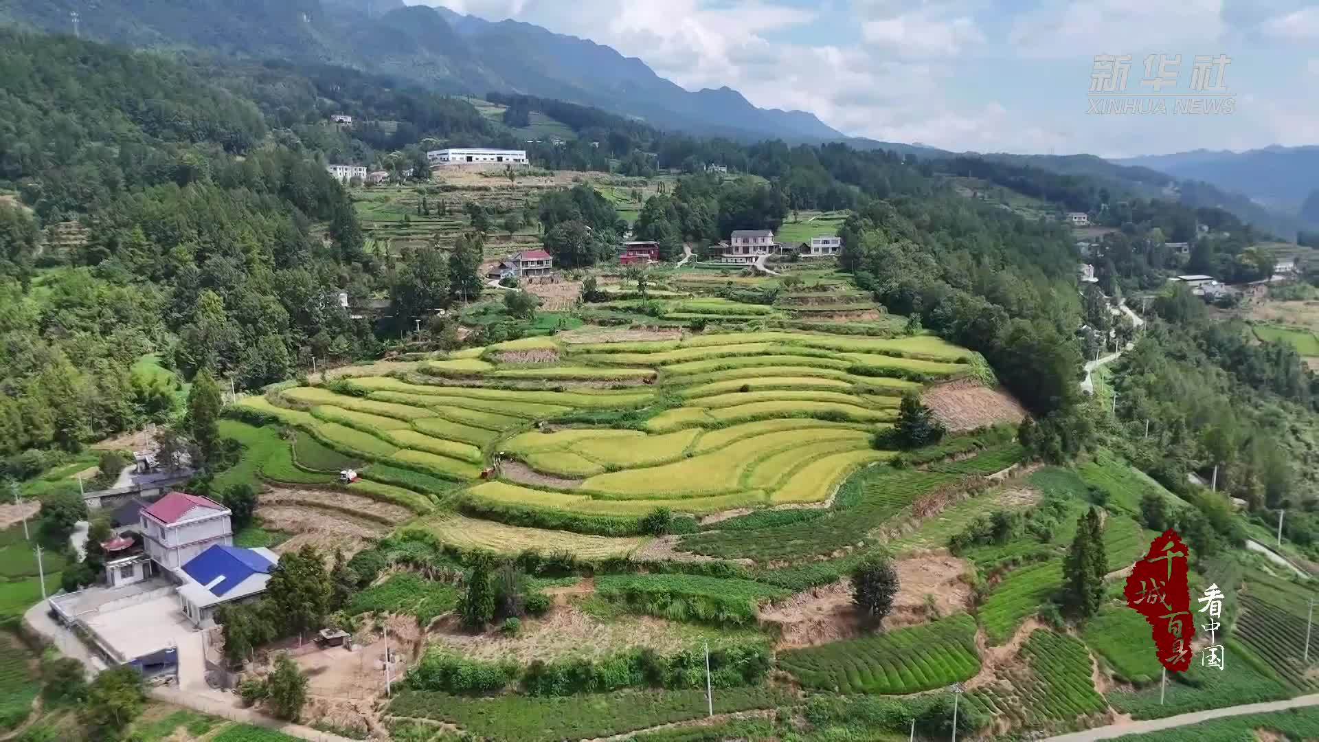 千城百县看中国｜湖北鹤峰：晒秋正当时