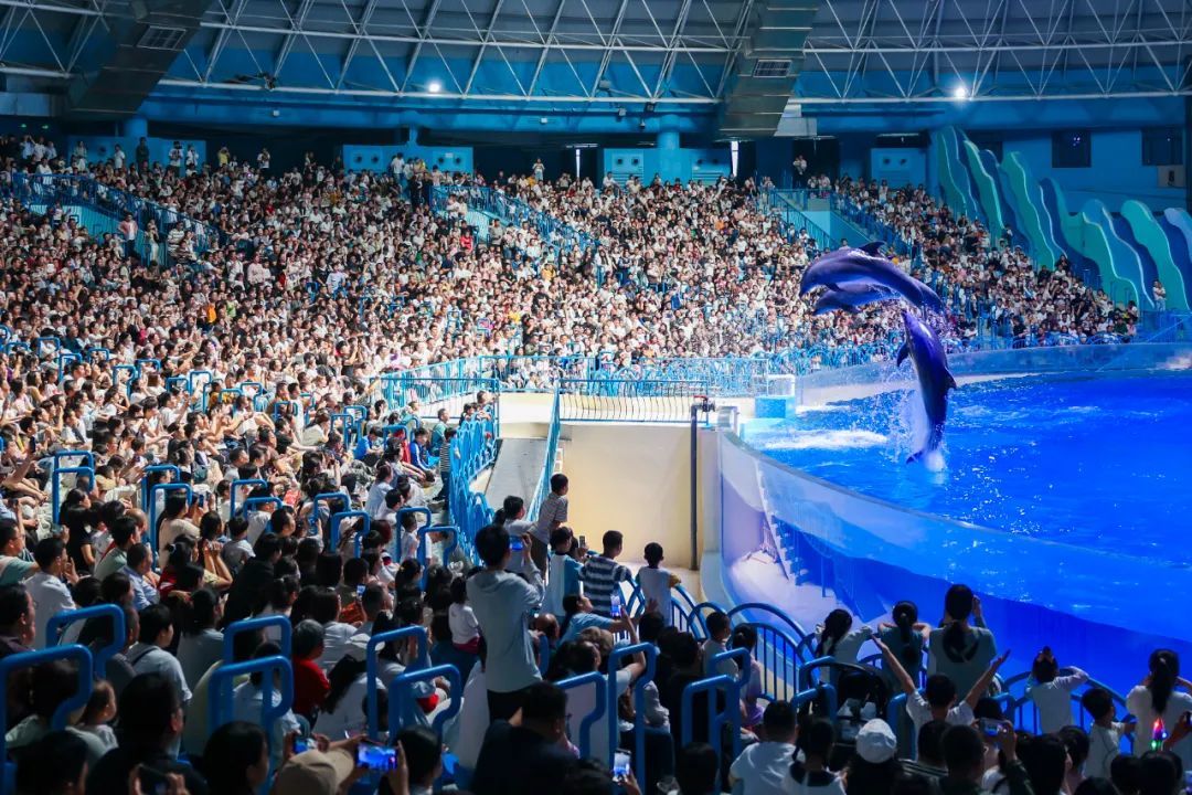 徐州鼓楼区：“三维实践”构建城北消费新图景！