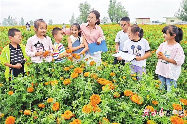 “石门花海”丰富了孩子们的暑期课堂