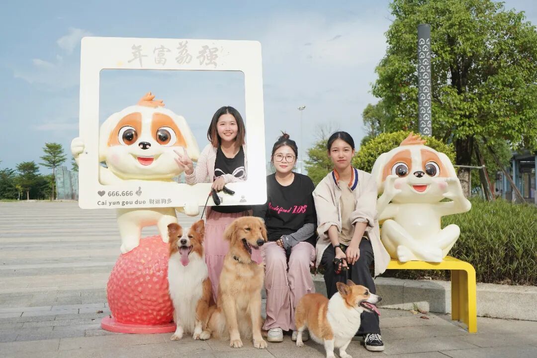 大同湖宠物友好公园上新一批高颜值的萌宠打卡装置