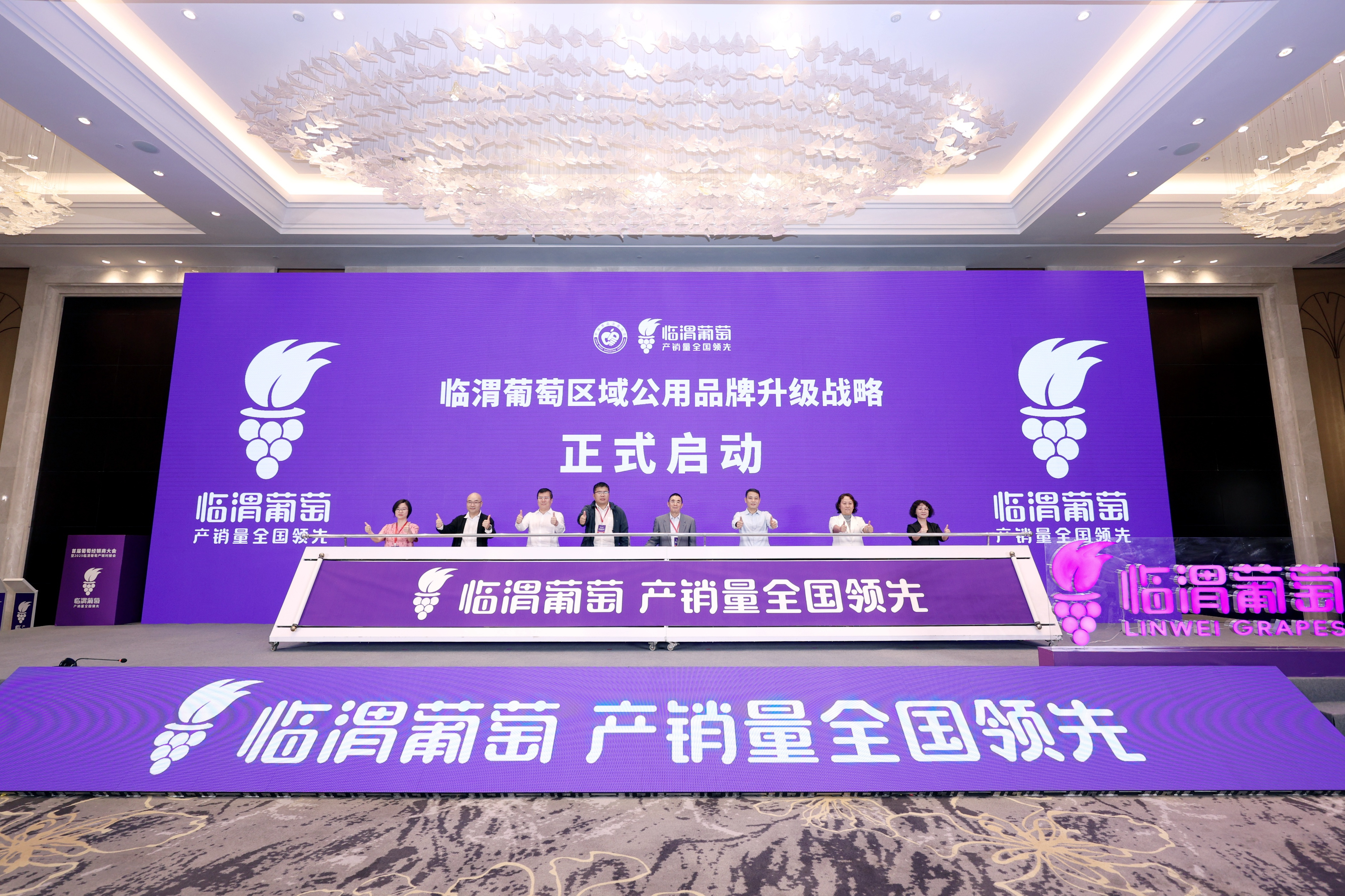 葡萄盛會 產業共贏|首屆葡萄經銷商大會暨2025臨渭葡萄產銷對接會舉辦