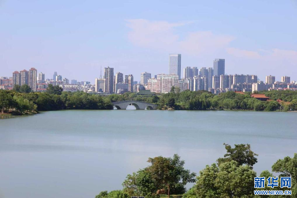 江西南昌象湖风景区草木葱郁，湖景迤逦。新华网 王晓震 摄