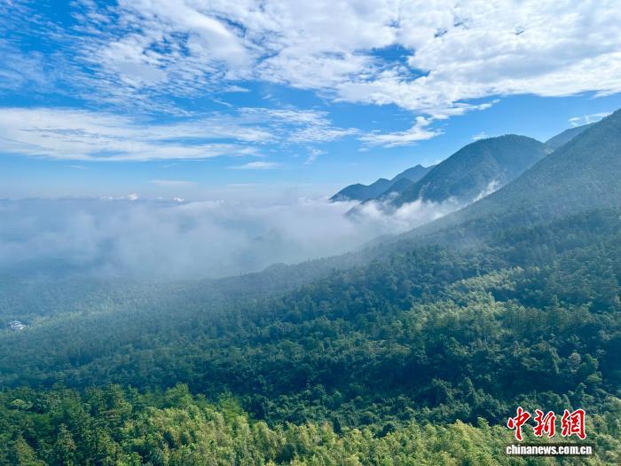9月11日，庐山雨后转晴，云雾升腾，薄纱萦绕。朱莹 摄