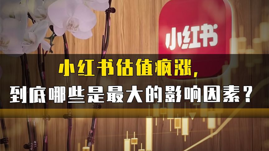 小红书估值疯涨，到底哪些是最大的影响因素？