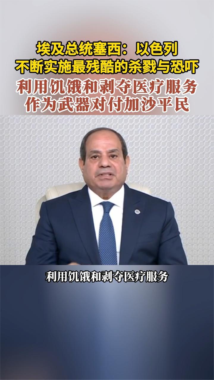 埃及总统塞西：以色列不断实施最残酷的杀戮与恐吓 对付加沙平民