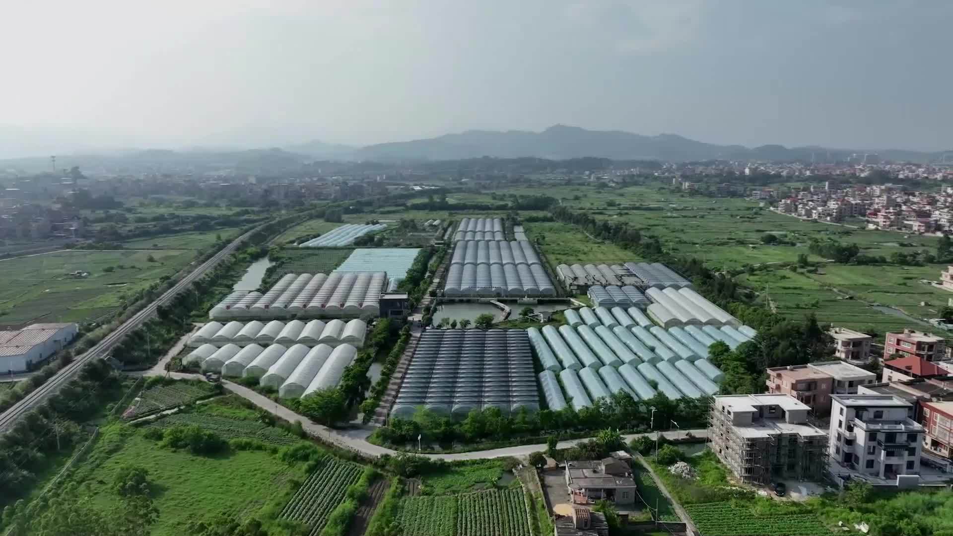 生态改良+产业升级  盐碱地结出“致富果”