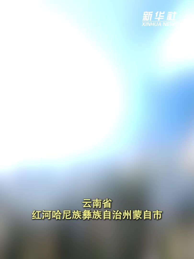 外眼看蒙自｜一碗米线“桥”接中外